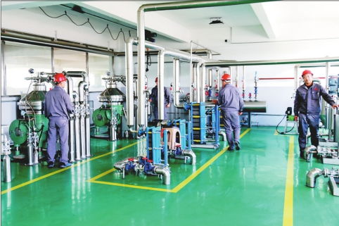 富锦市 实施'双百工程'，以电热食品加工引领产业升级新篇章