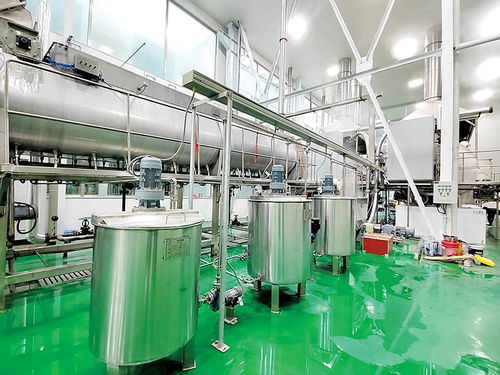 阳泉桃林润锦食品 以电热加工为笔，书写精深品质文章