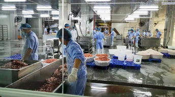 中山市政协农业农村委推动农产品集聚加工与电热食品加工提案办理，助推产业提档升级